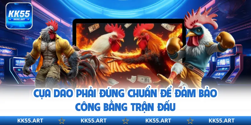 Cựa dao phải đúng chuẩn để đảm bảo công bằng trận đấu